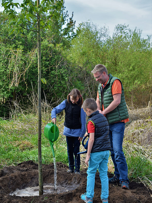 Pflanzung Baum der Jahres 2018